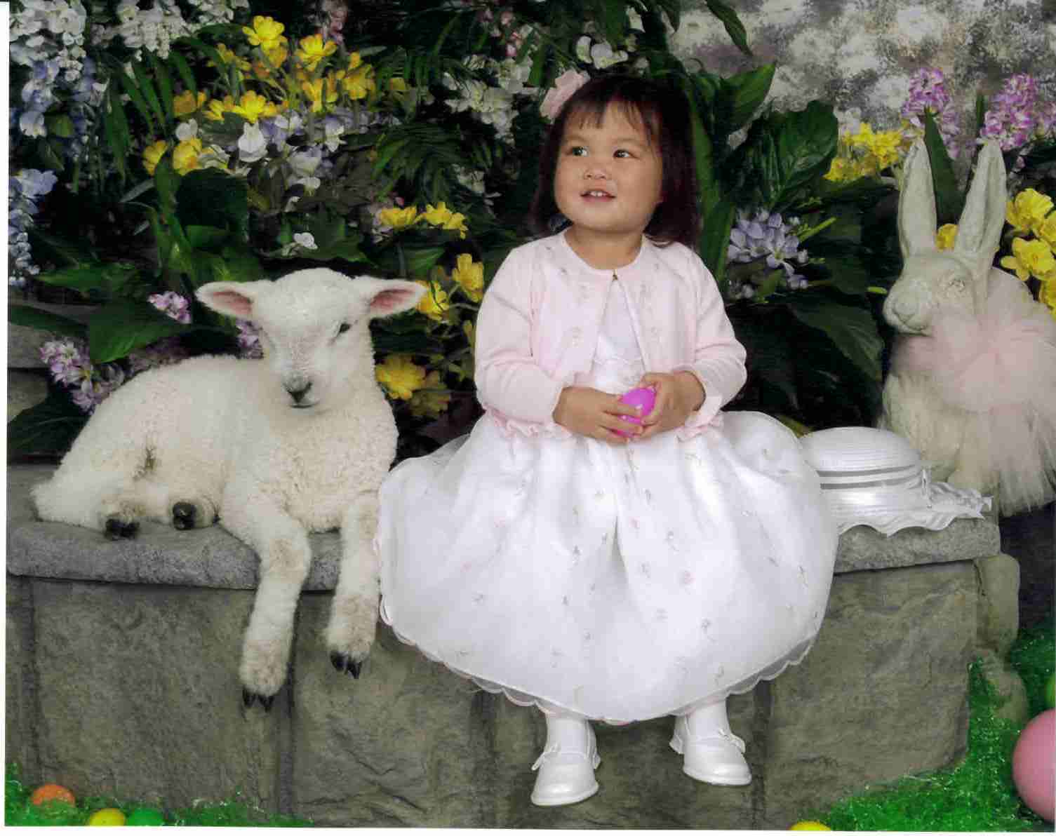 Kasen's lamb picture